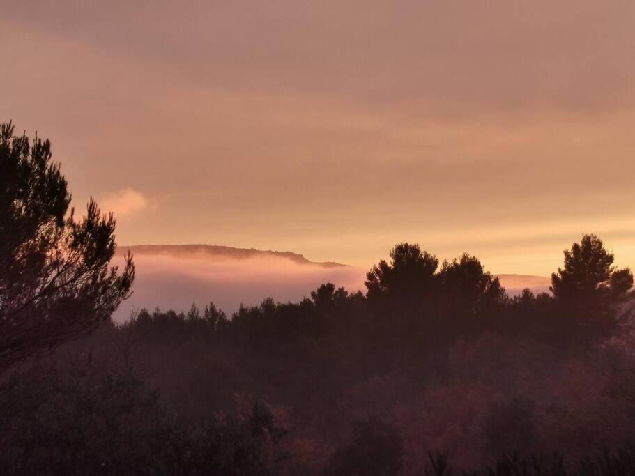 Entre Ventoux Et Luberon, Appartement Dans Maison. Malemort-du-Comtat Zewnętrze zdjęcie