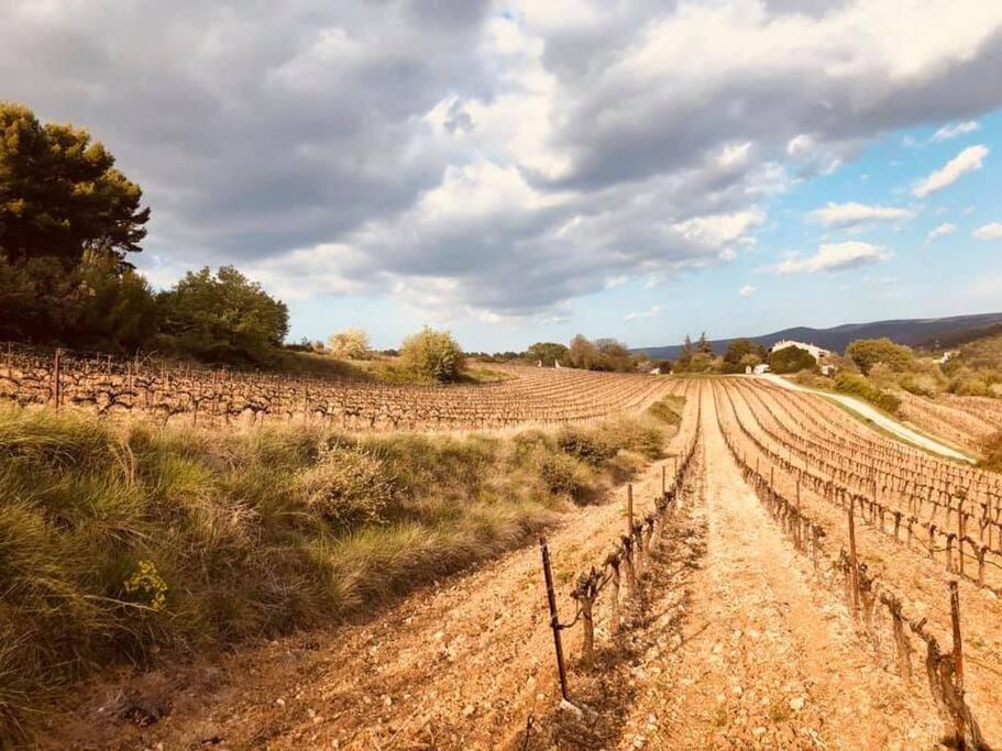Entre Ventoux Et Luberon, Appartement Dans Maison. Malemort-du-Comtat Zewnętrze zdjęcie